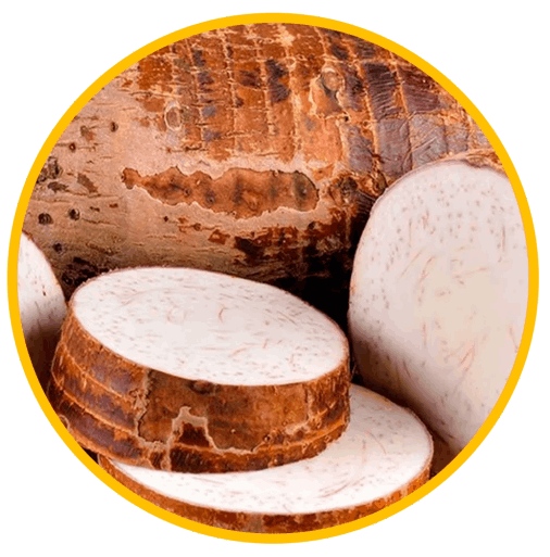 Wild Yam Root Extract