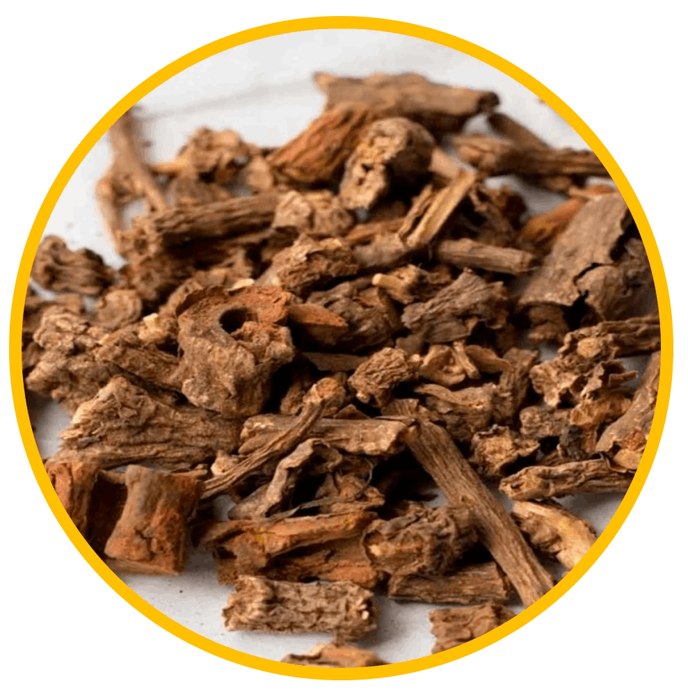 Sarsaparilla Root Extract